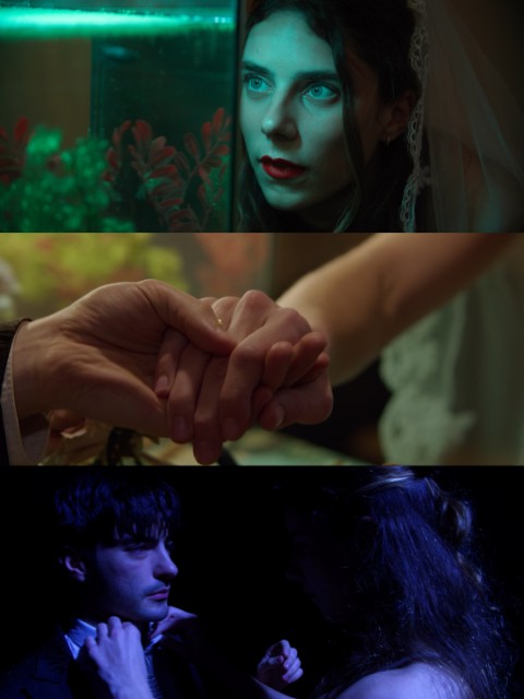 Les Néons Verts · Éva Wellia
cadreur & operateur steadicam